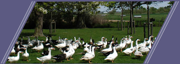 Ferme Louis Legrand